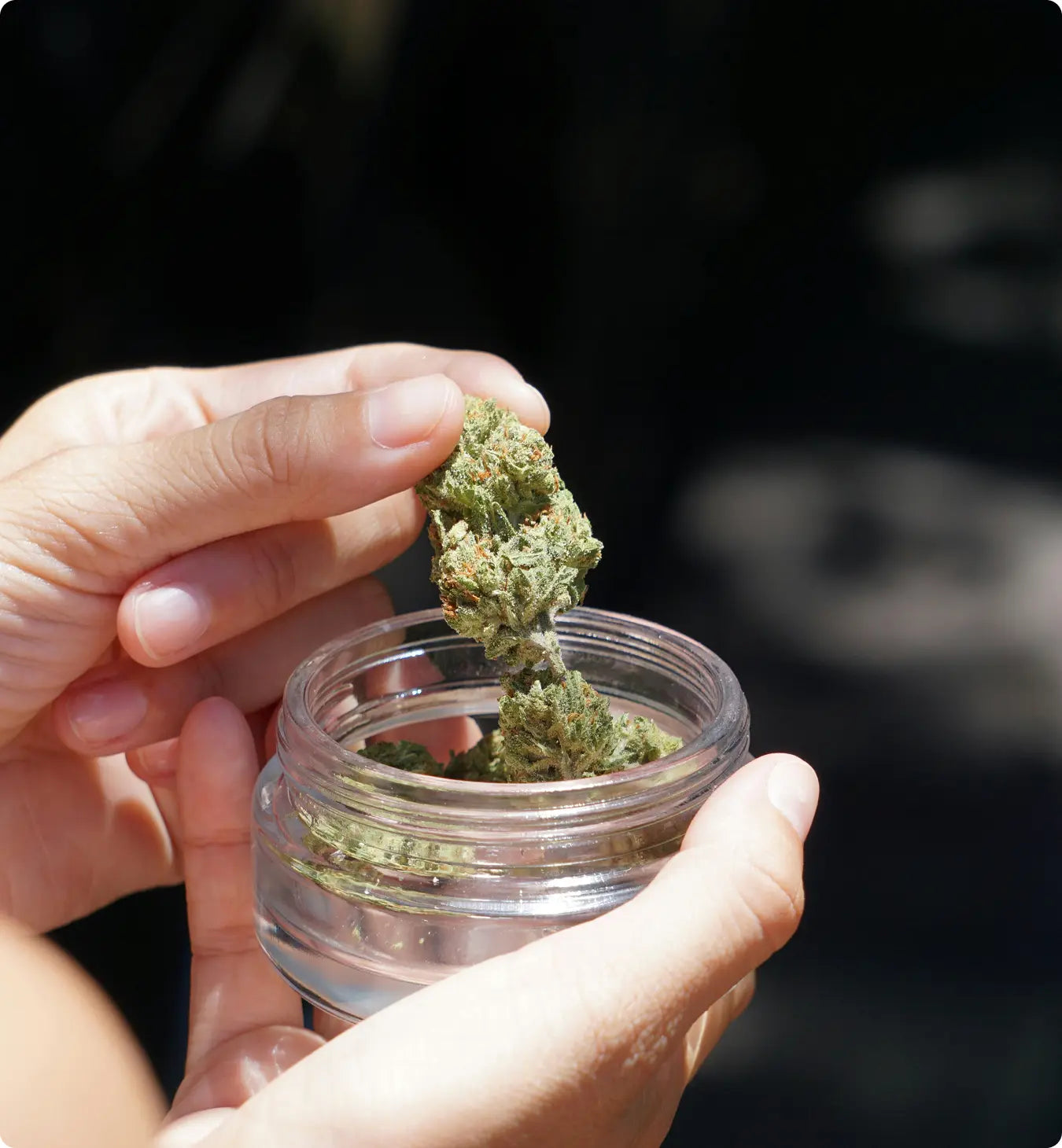 Bezahlen & Blüten erhalten