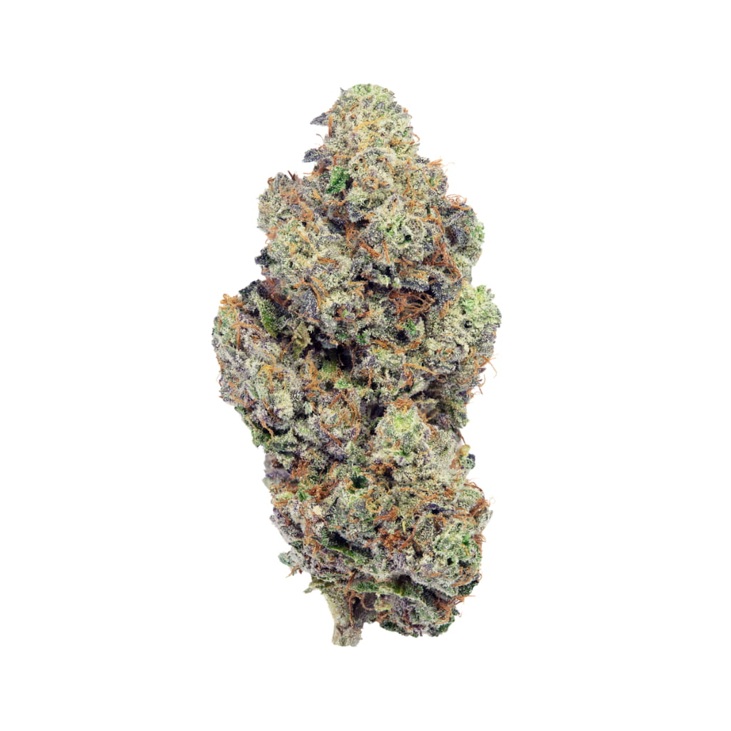 25/1 BCR - Beach Crasher