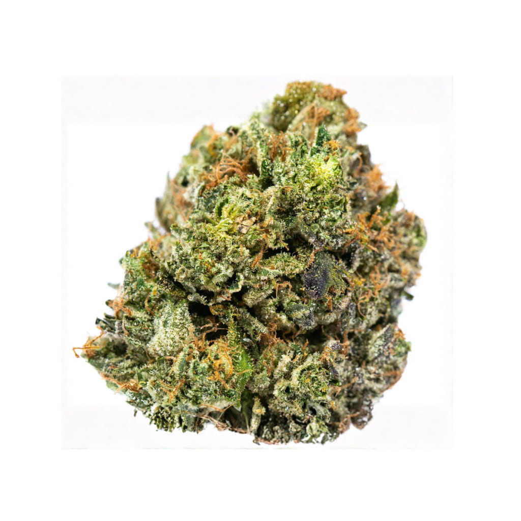 23/1 DS - Dank Sinatra