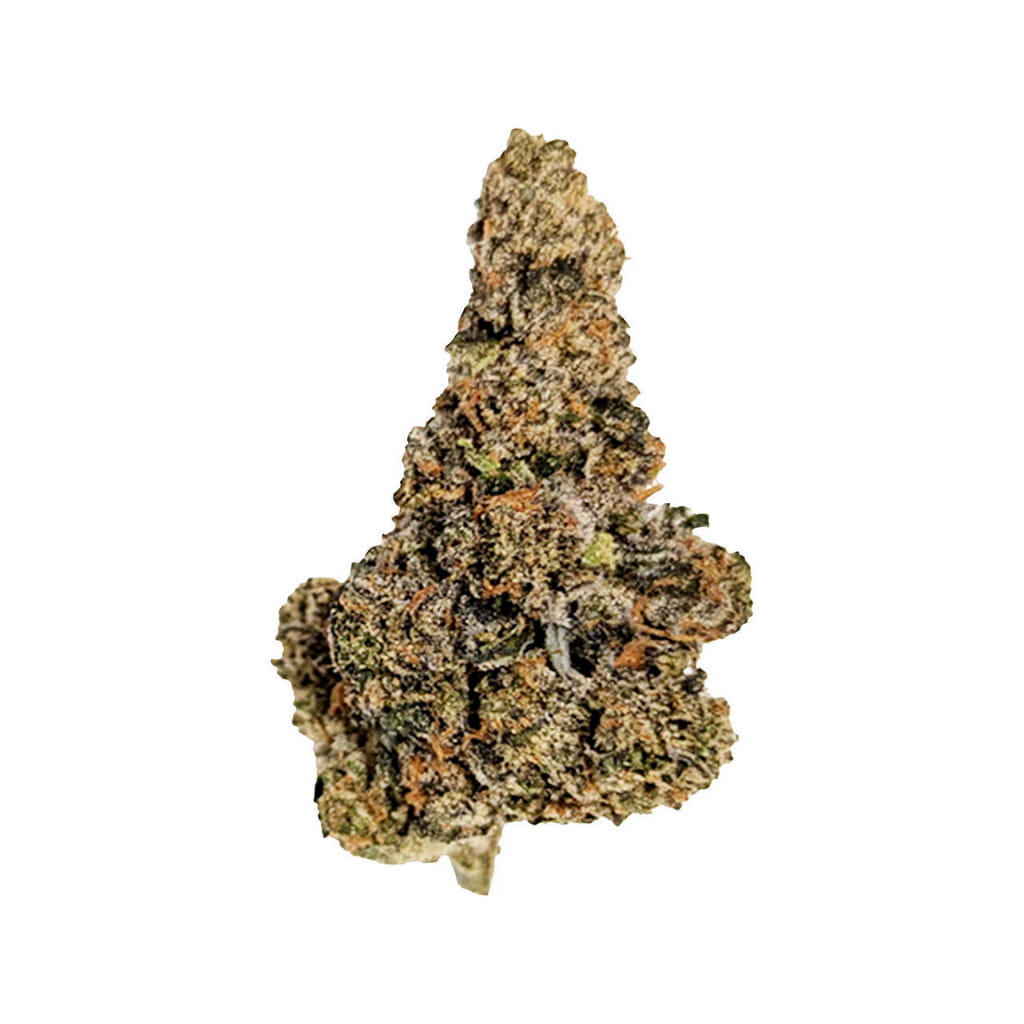 27/1 GPU - Gastro Pop Ultra