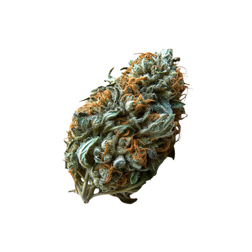 25/1 GRF - Grape Face