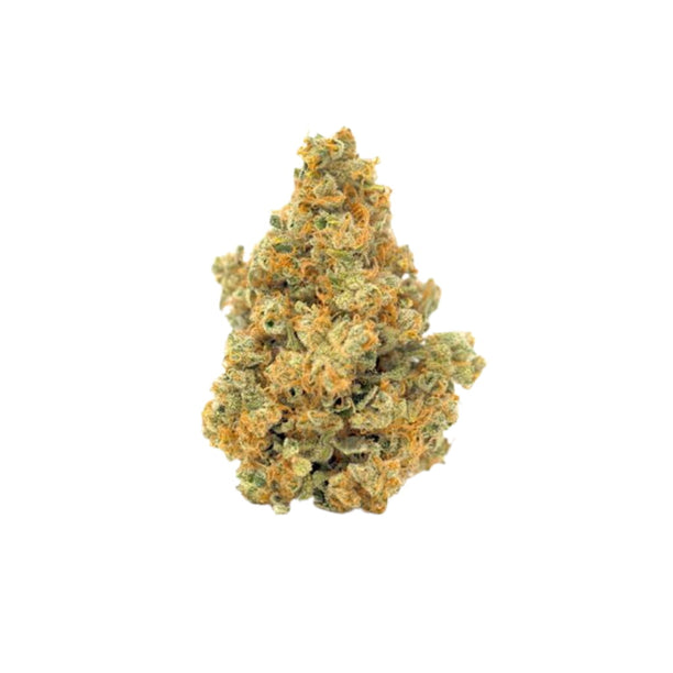 22/1 IIM - Inzane in the Membrane