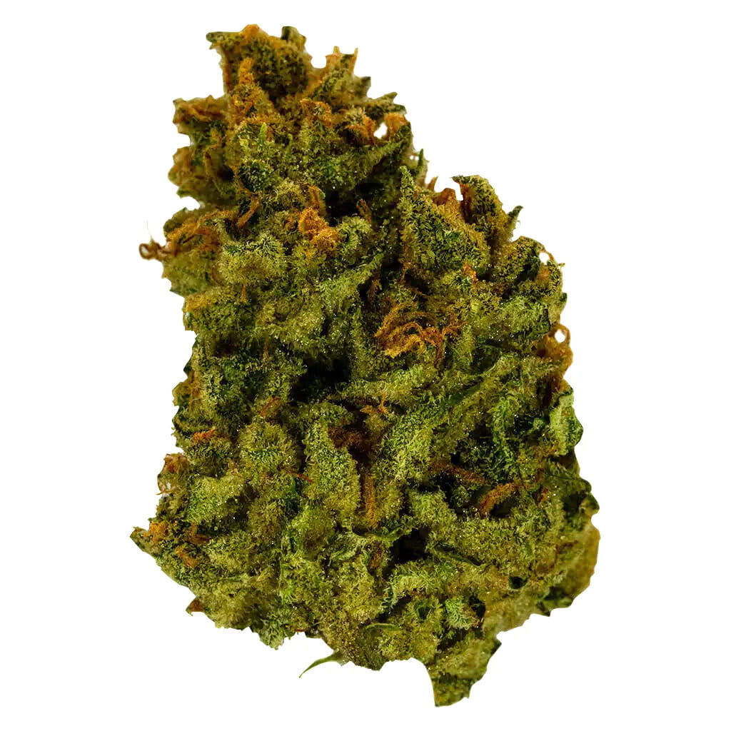 25/1 MB - Mega Breath