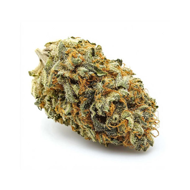 20/1 PS - Passion Soda