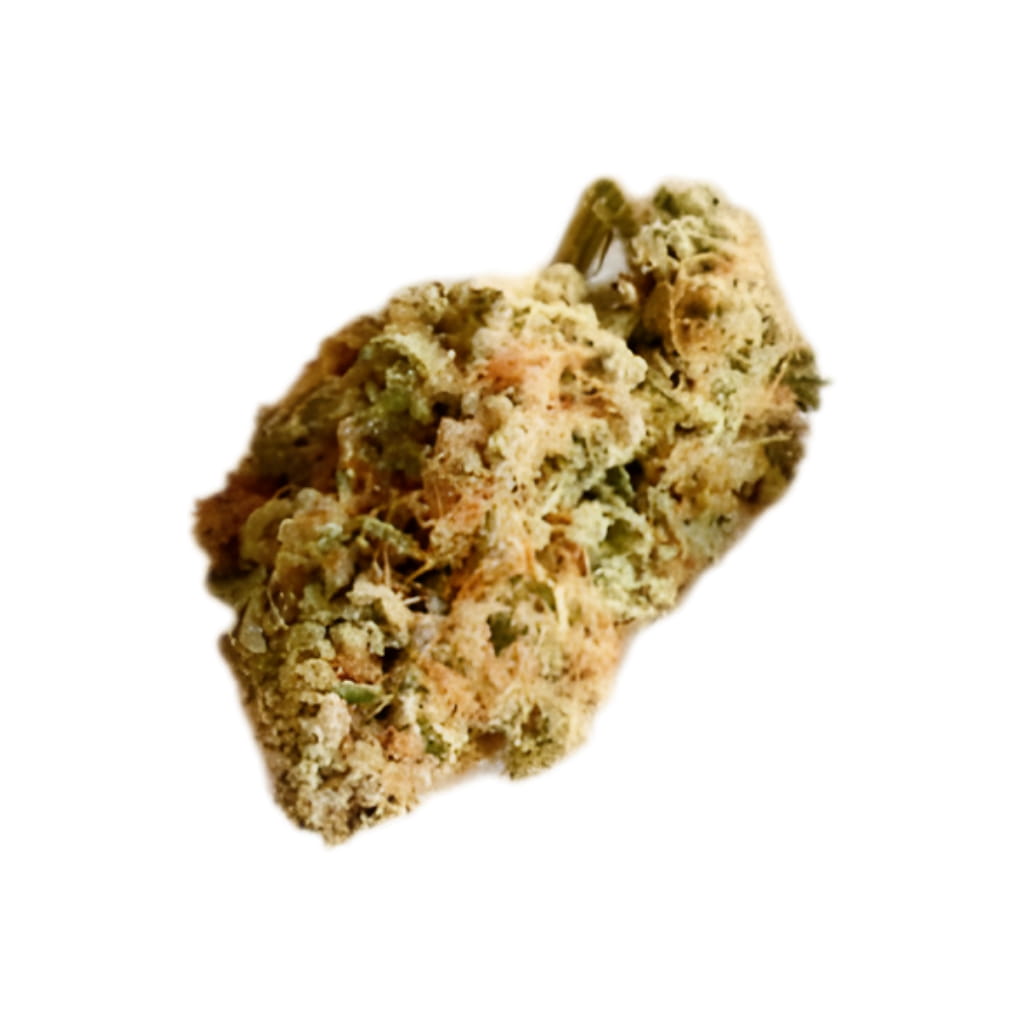 22/1 SNL - Snow Leopard