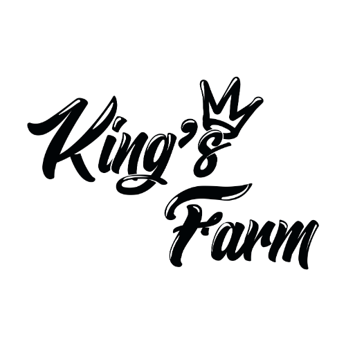 Logo 3